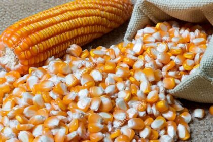 fpocorn